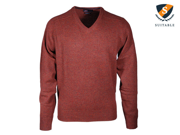 Sweater Suitable